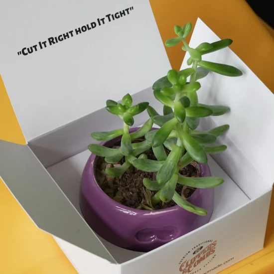 Экологичная маленькая бумажная коробка для духов и конфет, круглые подарочные коробки для цветов с крышками